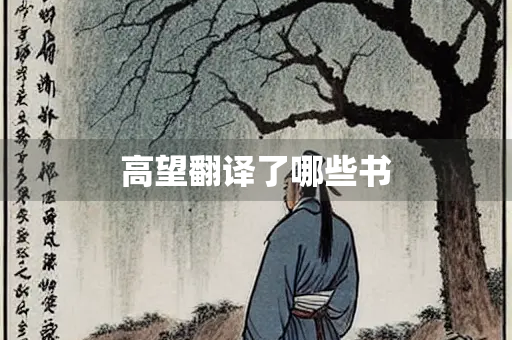 高望翻译了哪些书