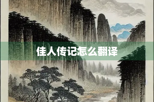 佳人传记怎么翻译