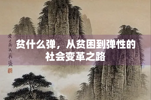 贫什么弹，从贫困到弹性的社会变革之路