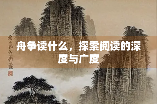 舟争读什么，探索阅读的深度与广度
