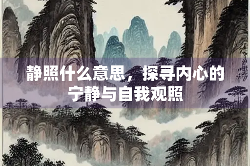 静照什么意思，探寻内心的宁静与自我观照