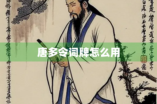 唐多令词牌怎么用