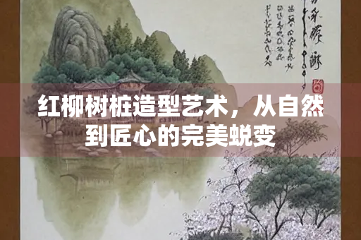 红柳树桩造型艺术，从自然到匠心的完美蜕变