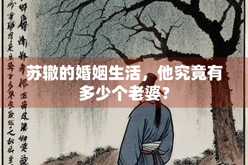 苏辙的婚姻生活，他究竟有多少个老婆？