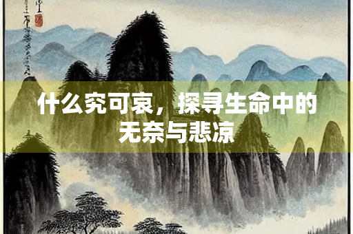什么究可哀，探寻生命中的无奈与悲凉