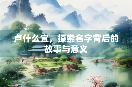 卢什么宜，探索名字背后的故事与意义