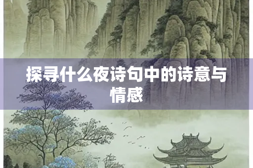 探寻什么夜诗句中的诗意与情感