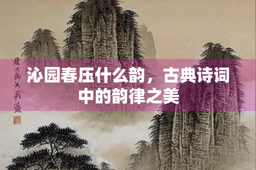 沁园春压什么韵，古典诗词中的韵律之美