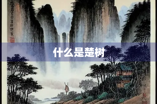 什么是楚树