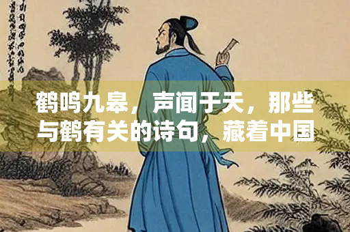 鹤鸣九皋，声闻于天，那些与鹤有关的诗句，藏着中国文人的精神密码