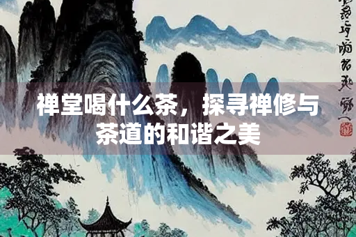 禅堂喝什么茶，探寻禅修与茶道的和谐之美
