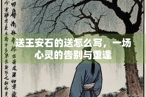 送王安石的送怎么写，一场心灵的告别与重逢
