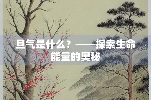 旦气是什么？——探索生命能量的奥秘