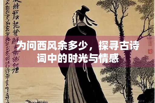 为问西风余多少，探寻古诗词中的时光与情感