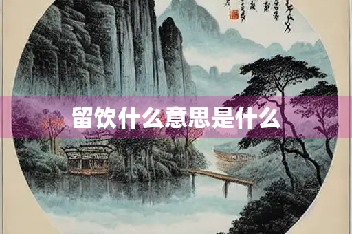 留饮什么意思是什么