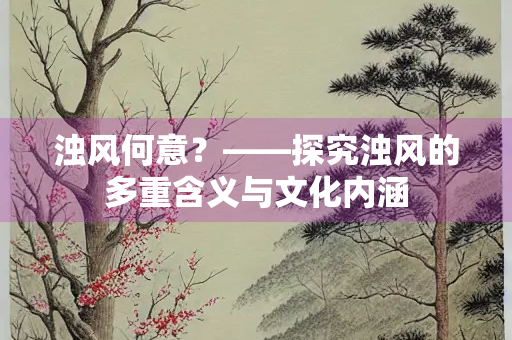 浊风何意？——探究浊风的多重含义与文化内涵