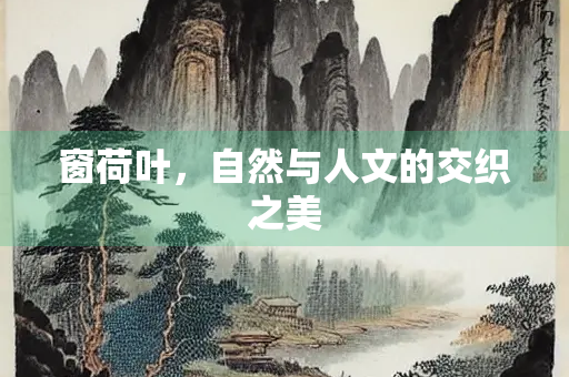 窗荷叶，自然与人文的交织之美