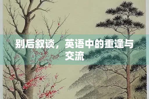 别后叙谈，英语中的重逢与交流