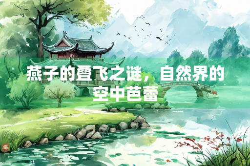 燕子的叠飞之谜，自然界的空中芭蕾