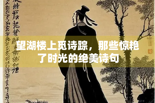 望湖楼上觅诗踪，那些惊艳了时光的绝美诗句