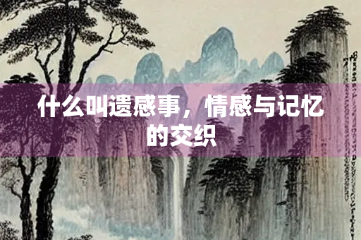 什么叫遗感事，情感与记忆的交织