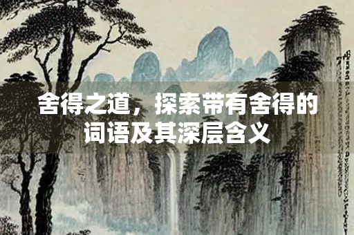 舍得之道，探索带有舍得的词语及其深层含义
