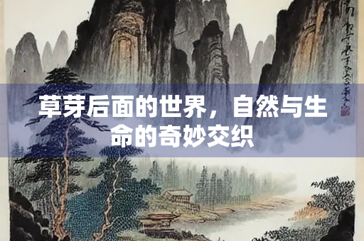 草芽后面的世界，自然与生命的奇妙交织
