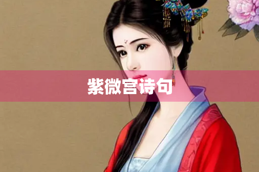 紫微宫诗句