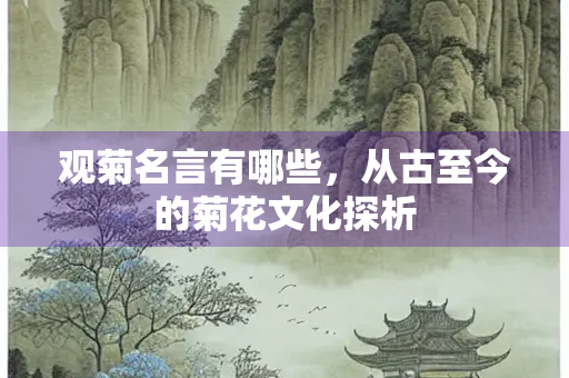 观菊名言有哪些，从古至今的菊花文化探析