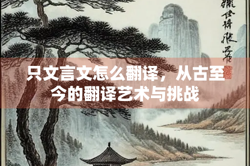 只文言文怎么翻译，从古至今的翻译艺术与挑战