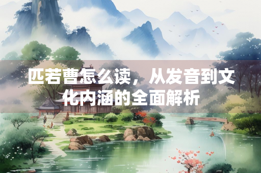 匹若曹怎么读，从发音到文化内涵的全面解析