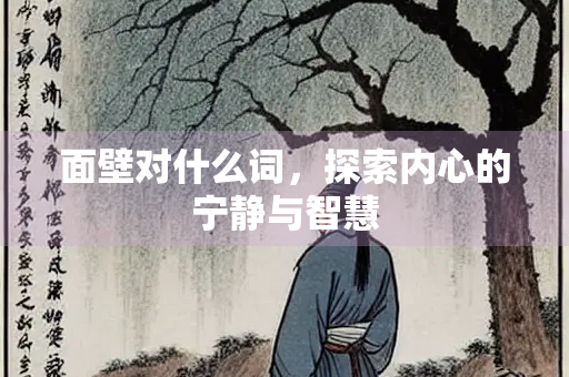 面壁对什么词，探索内心的宁静与智慧