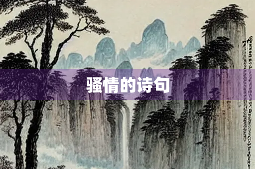 骚情的诗句