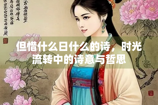 但惜什么日什么的诗，时光流转中的诗意与哲思