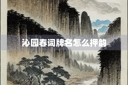 沁园春词牌名怎么押韵