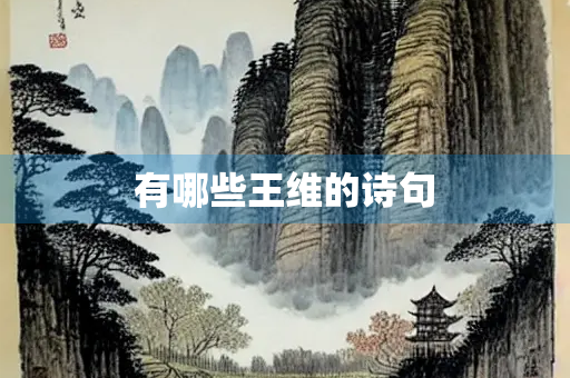 有哪些王维的诗句