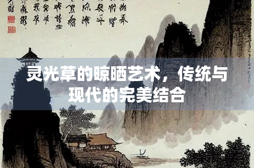 灵光草的晾晒艺术，传统与现代的完美结合