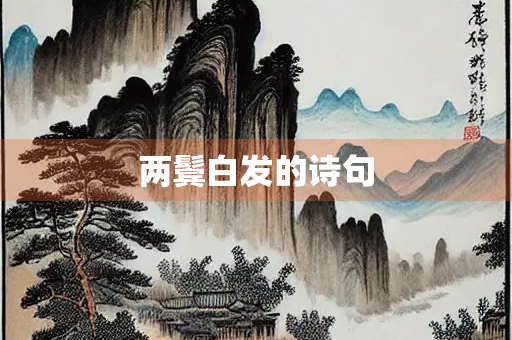 两鬓白发的诗句