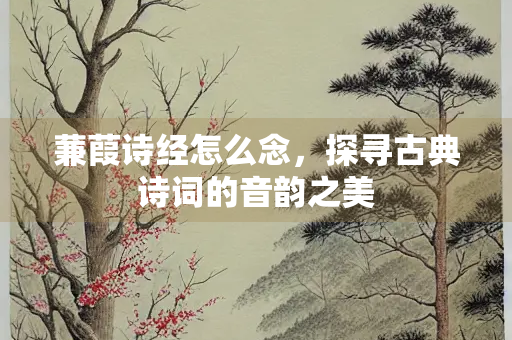 蒹葭诗经怎么念，探寻古典诗词的音韵之美