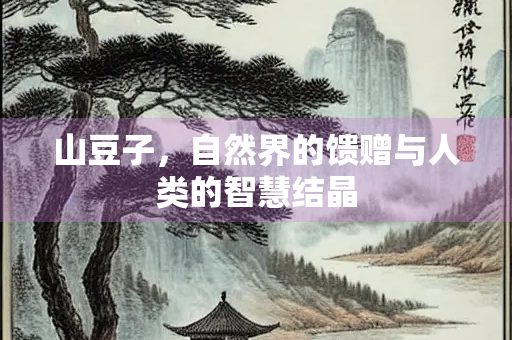 山豆子，自然界的馈赠与人类的智慧结晶