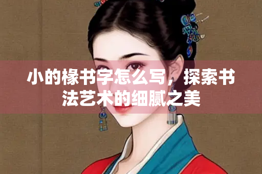 小的椽书字怎么写，探索书法艺术的细腻之美