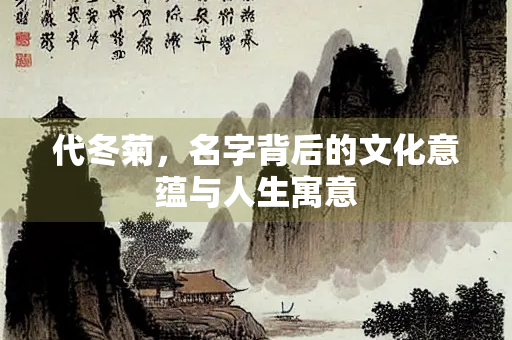 代冬菊，名字背后的文化意蕴与人生寓意