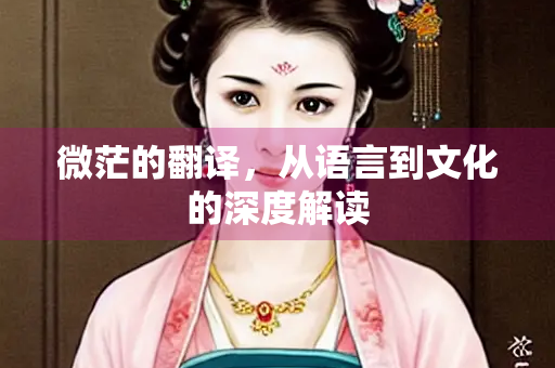 微茫的翻译，从语言到文化的深度解读