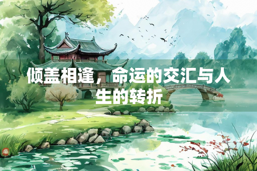 倾盖相逢，命运的交汇与人生的转折