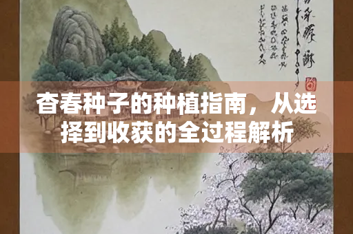 杳春种子的种植指南，从选择到收获的全过程解析