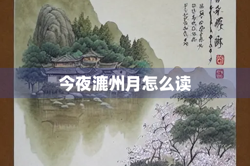 今夜漉州月怎么读