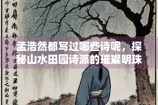 孟浩然都写过哪些诗呢，探秘山水田园诗派的璀璨明珠