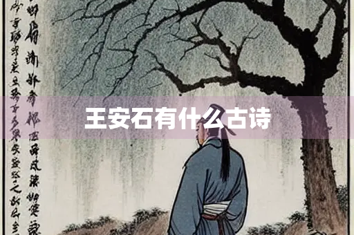 王安石有什么古诗
