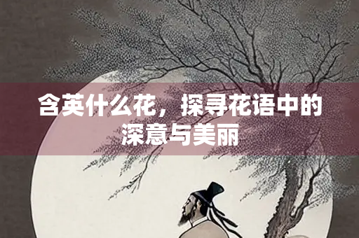 含英什么花，探寻花语中的深意与美丽
