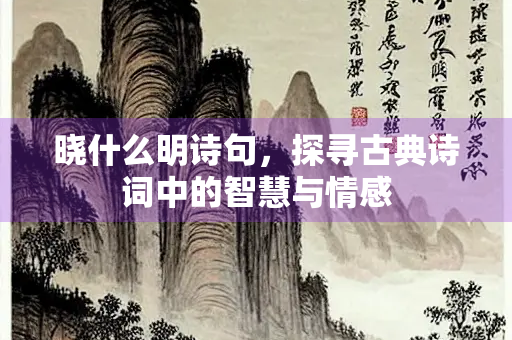 晓什么明诗句，探寻古典诗词中的智慧与情感